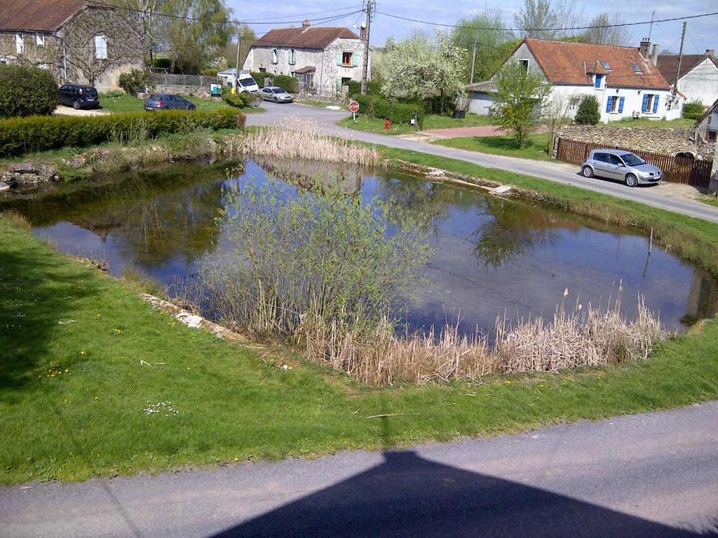 Gite Du Grand Morin Villeneuve-la-Lionne Экстерьер фото